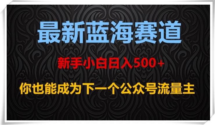 最新蓝海赛道，新手小白日入500+，你也能成为下一个公众号流量主【揭秘】-一个公司创业项目 - 淘金吧