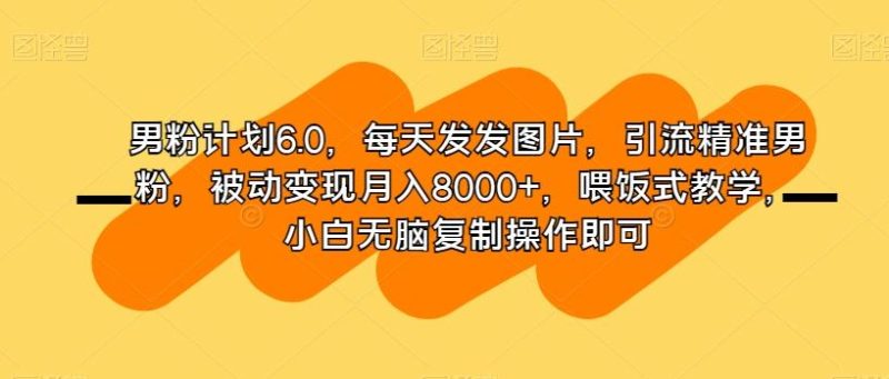 男粉计划6.0,每天发发图片,引流精准男粉,被动变现月入8000+,喂饭式教学,小白无脑复制操作即可-一个公司创业项目 - 淘金吧