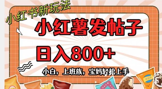小红薯发日常帖子，日入800+小白专属项目可批量操作-一个公司创业项目 - 淘金吧