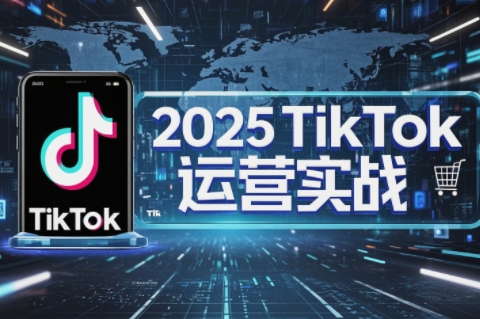 阿涛·2025TikTok电商运营-一个公司创业项目 - 淘金吧