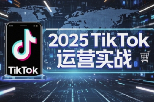 2025TikTok电商运营,掌握TikTok店铺运营核心技巧,实现低成本高转化-一个公司创业项目 - 淘金吧