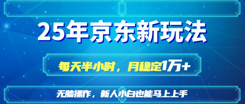 25京东新玩法,每天半小时,月稳定1W+-一个公司创业项目 - 淘金吧