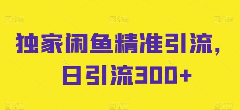 独家闲鱼精准引流,日引流300+【揭秘】-一个公司创业项目 - 淘金吧