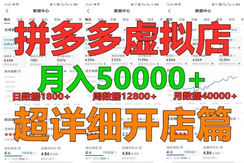 拼多多虚拟电商训练营月入40000+你也行，暴利稳定长久，副业首选-一个公司创业项目 - 淘金吧
