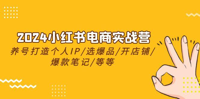 2024小红书电商实战营，养号打造IP/选爆品/开店铺/爆款笔记/等等(24节)-一个公司创业项目 - 淘金吧