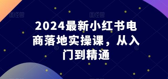 2024最新小红书电商落地实操课,从入门到精通-一个公司创业项目 - 淘金吧