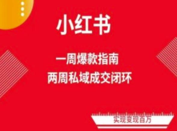 爆款小红书免费流量体系课程(两周变现)，小红书电商教程-一个公司创业项目 - 淘金吧