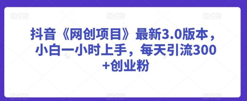 抖音《网创项目》最新3.0版本,小白一小时上手,每天引流300+创业粉【揭秘】-一个公司创业项目 - 淘金吧