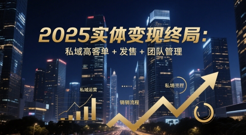 2025实体变现终局：私域高客单+发售+团队管理-一个公司创业项目 - 淘金吧