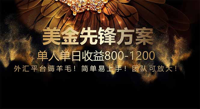 免费技术！小众赛道！一年布局抵三年努力，每日800+-一个公司创业项目 - 淘金吧