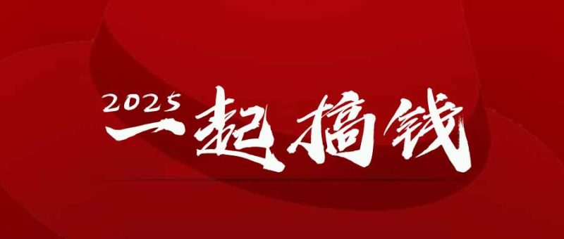 2025年,请“不择手段”去搞钱!-一个公司创业项目 - 淘金吧