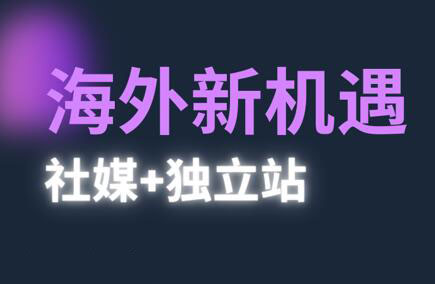棕榈·2025出海新机遇(社媒+独立站)-一个公司创业项目 - 淘金吧