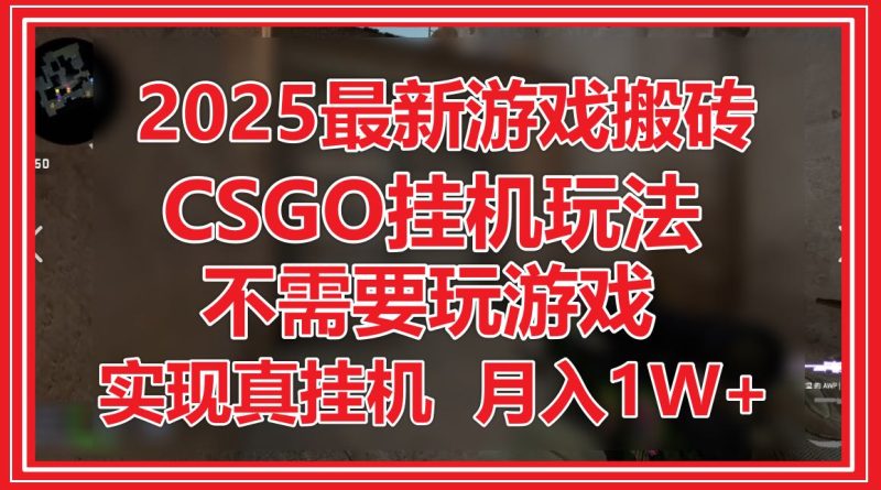 2025最新游戏搬砖,CSGO挂机,不需要玩游戏,实现真挂机,月入1W+-一个公司创业项目 - 淘金吧