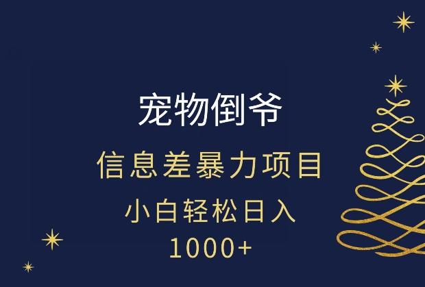宠物倒爷，暴利的信息差项目，足不出户就有客户，年轻人都喜欢宠物！-一个公司创业项目 - 淘金吧