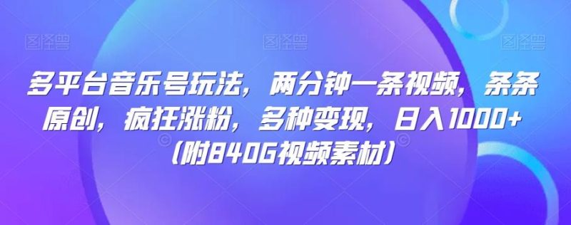 多平台音乐号玩法,两分钟一条视频,条条原创,疯狂涨粉,多种变现,日入1000+-一个公司创业项目 - 淘金吧