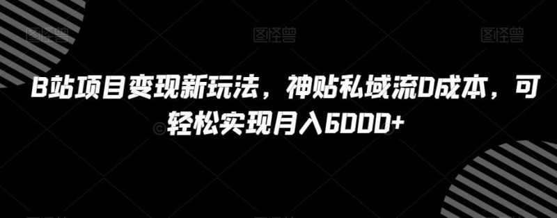 B站项目变现新玩法,神贴私域流0成本,可轻松实现月入6000+【揭秘】-一个公司创业项目 - 淘金吧