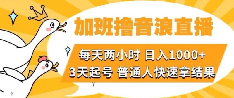 加班撸音浪直播,每天两小时,日入1000+,直播话术才3句,3天起号,普通人快速拿结果【揭秘】-一个公司创业项目 - 淘金吧