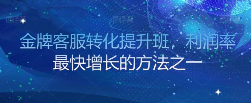 金牌客服转化提升班,利润率最快增长的方法之一-一个公司创业项目 - 淘金吧