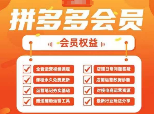 2025拼多多运营实战课，40节全流程教学，覆盖拼多多运营全链路-一人公司创业项目 - 淘金吧