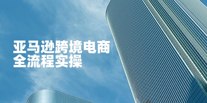亚马逊跨境电商全流程实操,教你从零开始,掌握店铺运营与广告技巧-一个公司创业项目 - 淘金吧