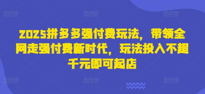 2025拼多多强付费玩法,带领全网走强付费新时代,玩法投入不超千元即可起店-一个公司创业项目 - 淘金吧
