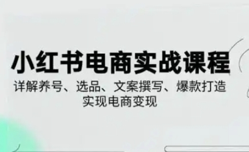 小红书从0-1实操课(2023-2025),详解养号、选品、文案撰写、爆款打造实现电商变现-一个公司创业项目 - 淘金吧
