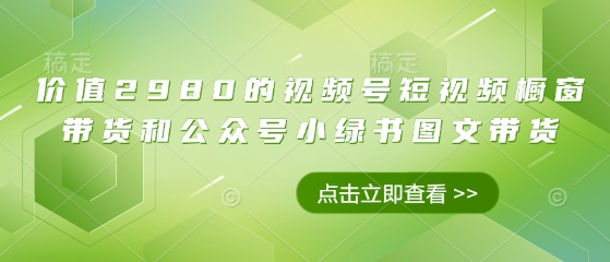 价值2980的视频号短视频橱窗带货和公众号小绿书图文带货-一个公司创业项目 - 淘金吧