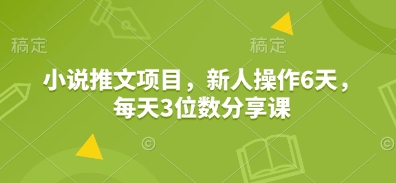小说推文项目,新人操作6天,每天3位数分享课-一个公司创业项目 - 淘金吧