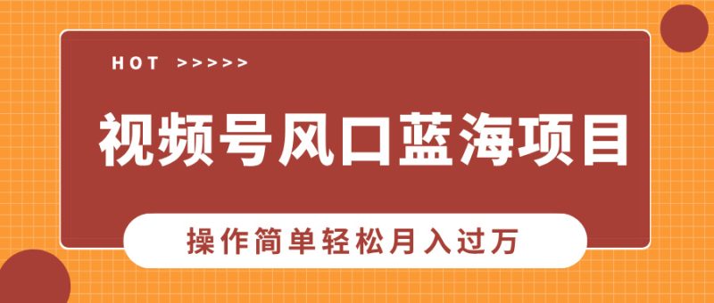 视频号风口蓝海项目，中老年人的流量密码，操作简单轻松月入过万-一个公司创业项目 - 淘金吧