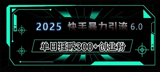 2025年快手6.0保姆级教程震撼来袭,单日狂吸300+精准创业粉-一个公司创业项目 - 淘金吧
