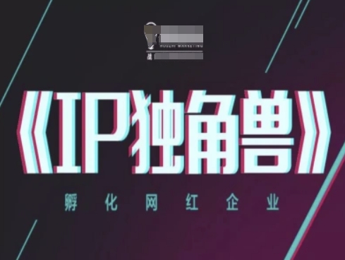 IP独角兽,孵化网红企业,ip教程-一个公司创业项目 - 淘金吧