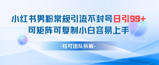 小红书男粉常规引流不封号日引99+变现简单 可矩阵可复制小白容易上手-一个公司创业项目 - 淘金吧