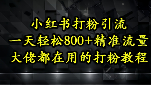 小红书打粉引流,一天轻松500+精准流量,大佬都在用的打粉教程-一个公司创业项目 - 淘金吧