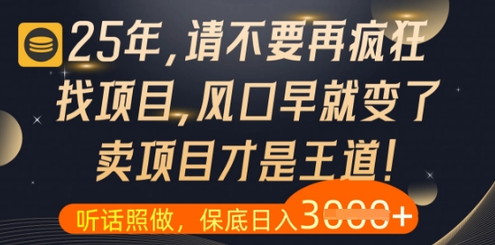 什么?25年你还在疯狂找项目做,醒醒吧,看完这些你全都懂了【揭秘】-一个公司创业项目 - 淘金吧