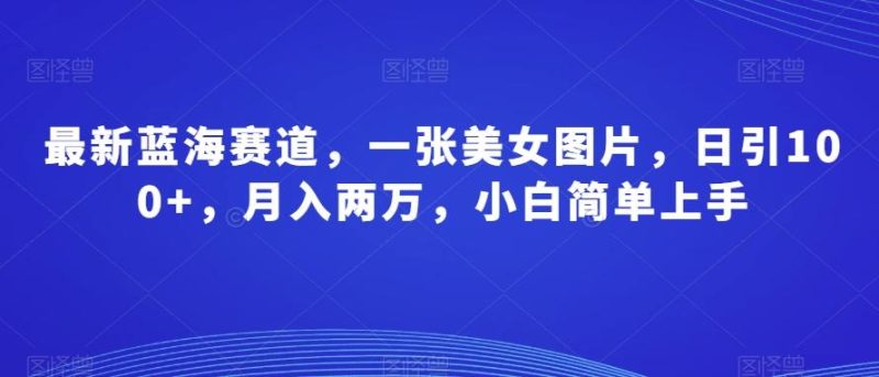 最新蓝海赛道,一张美女图片,日引100+,月入两万,小白简单上手-一个公司创业项目 - 淘金吧