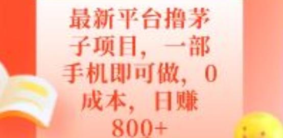 最新平台撸茅子项目，一部手机即可做，0成本，日赚800+-一个公司创业项目 - 淘金吧