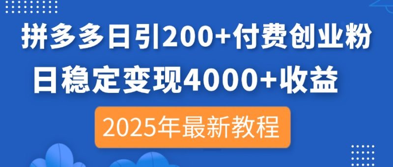 拼多多日引200+付费创业粉,日稳定变现4000+收益,2025年最新教程-一个公司创业项目 - 淘金吧