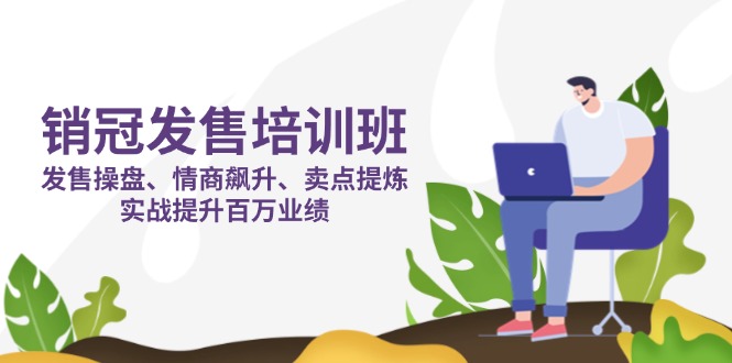销冠 发售培训班:发售 操盘+情商 飙升+卖点 提炼,实战提升百万业绩-一个公司创业项目 - 淘金吧