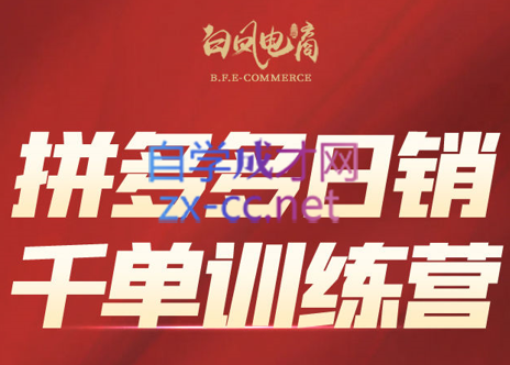 白凤电商·拼多多日销千单训练营(更新3月)-一个公司创业项目 - 淘金吧