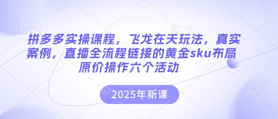 拼多多实操课程,飞龙在天玩法,真实案例,直播全流程链接的黄金sku布局原价操作六个活动-一个公司创业项目 - 淘金吧