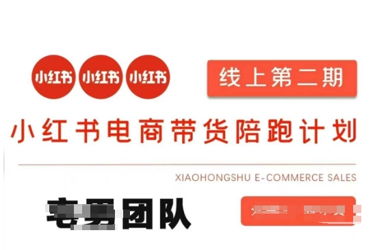 小红书电商带货课2期,月利润20个的小红书电商的有货源,无货源,虚拟产品,付费投流等整套玩法-一个公司创业项目 - 淘金吧