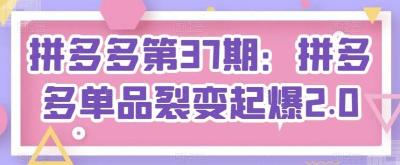 拼多多第37期:拼多多单品裂变起爆2.0-一个公司创业项目 - 淘金吧