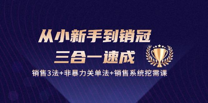 从小新手到销冠 三合一速成：销售3法+非暴力关单法+销售系统挖需课 (27节-一个公司创业项目 - 淘金吧