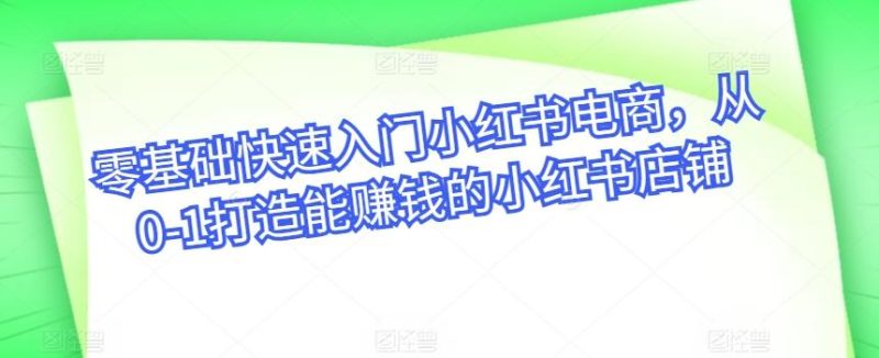 零基础快速入门小红书电商,从0-1打造能赚钱的小红书店铺-一个公司创业项目 - 淘金吧