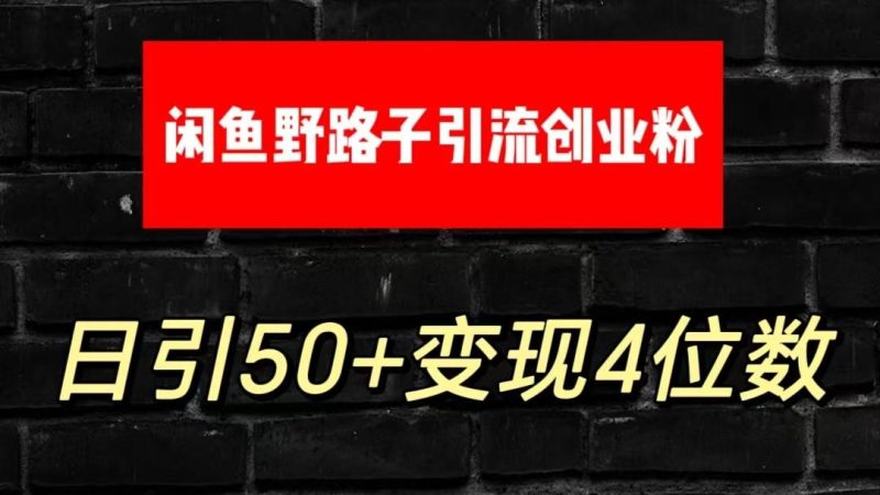 大眼闲鱼野路子引流创业粉，日引50+单日变现四位数-一个公司创业项目 - 淘金吧