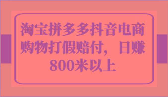 淘宝拼多多抖音电商购物打假赔付，日赚800米以上-一个公司创业项目 - 淘金吧