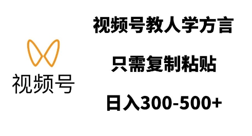 视频号教人学方言,只需复制粘贴,日入多张-一个公司创业项目 - 淘金吧