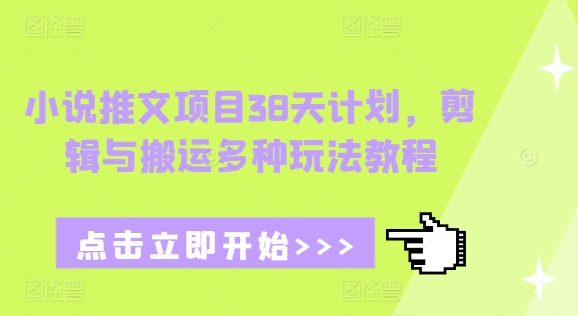 小说推文项目38天计划，剪辑与搬运多种玩法教程-一个公司创业项目 - 淘金吧
