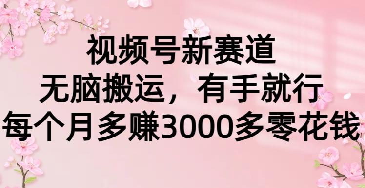 (9278期)视频号新赛道，无脑搬运，有手就行，每个月多赚3000多零花钱-一个公司创业项目 - 淘金吧