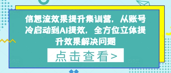 信息流效果提升集训营,从账号冷启动到AI提效,全方位立体提升效果解决问题-一个公司创业项目 - 淘金吧